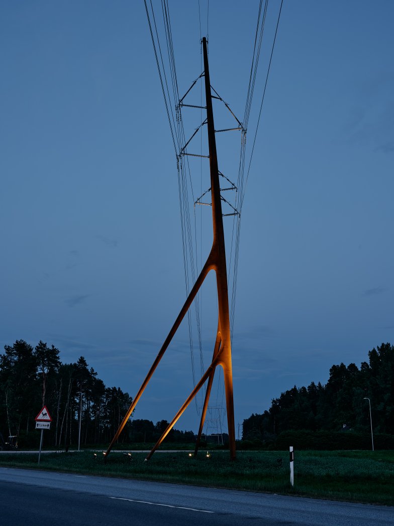  © Tõnu Tunnel