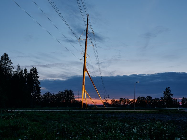  © Tõnu Tunnel